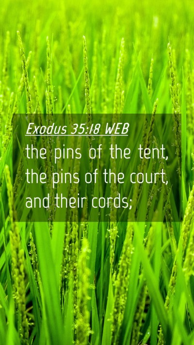 Picture 04 - Exodus 35:18 WEB Mobile Phone Wallpaper - the pins of the tent, the pins of the court, and - Mobile Bible Verse Wallpaper