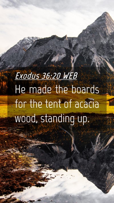 Picture 04 - Exodus 36:20 WEB Mobile Phone Wallpaper - He made the boards for the tent of acacia wood, - Mobile Bible Verse Wallpaper