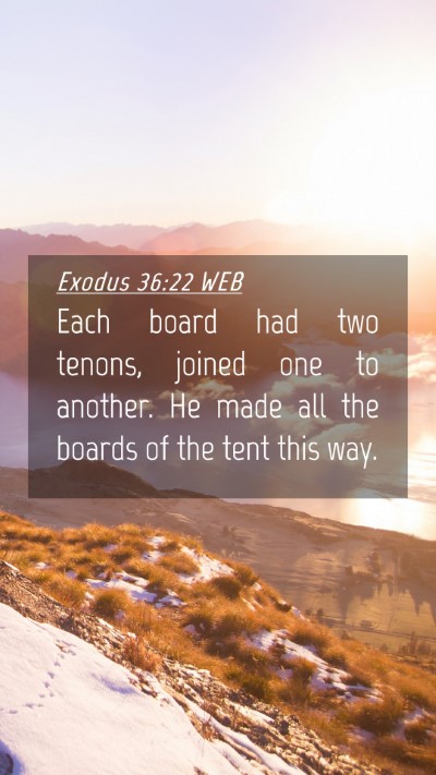 Picture 04 - Exodus 36:22 WEB Mobile Phone Wallpaper - Each board had two tenons, joined one to another. - Mobile Bible Verse Wallpaper