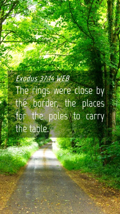 Picture 04 - Exodus 37:14 WEB Mobile Phone Wallpaper - The rings were close by the border, the places - Mobile Bible Verse Wallpaper
