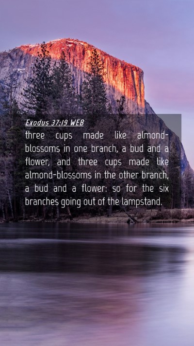 Picture 04 - Exodus 37:19 WEB Mobile Phone Wallpaper - three cups made like almond-blossoms in one - Mobile Bible Verse Wallpaper
