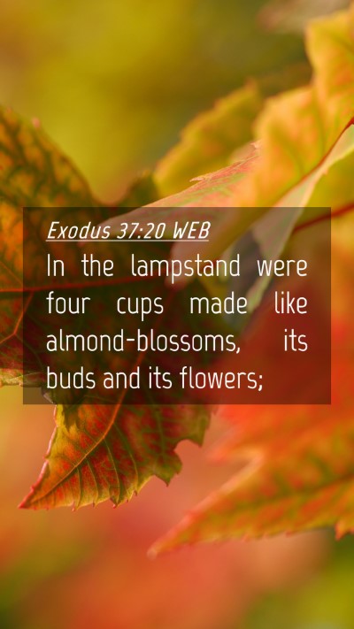 Picture 04 - Exodus 37:20 WEB Mobile Phone Wallpaper - In the lampstand were four cups made like - Mobile Bible Verse Wallpaper