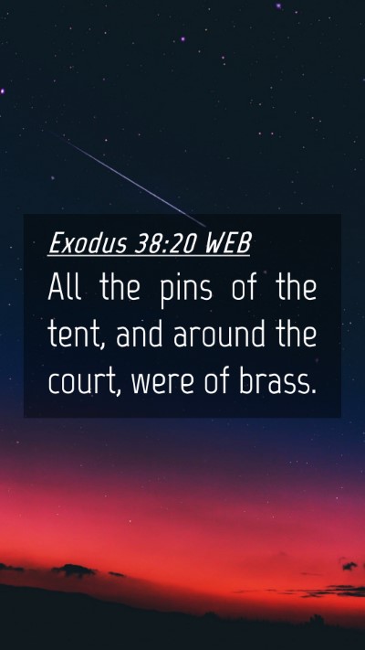 Picture 04 - Exodus 38:20 WEB Mobile Phone Wallpaper - All the pins of the tent, and around the court, - Mobile Bible Verse Wallpaper