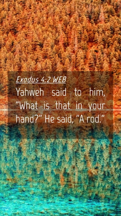 Picture 04 - Exodus 4:2 WEB Mobile Phone Wallpaper - Yahweh said to him, 