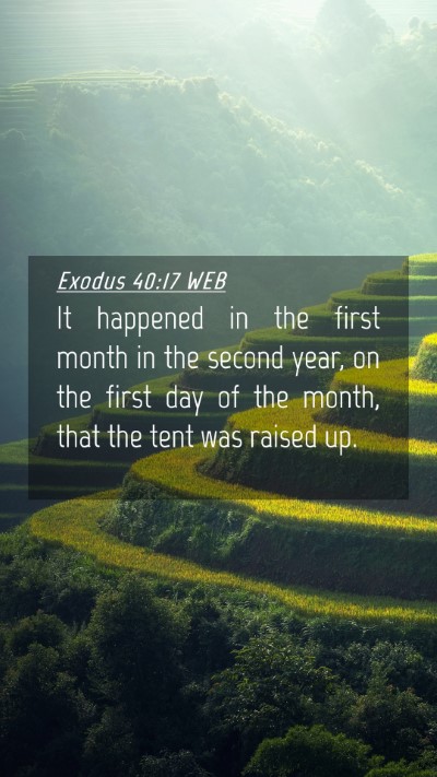 Picture 04 - Exodus 40:17 WEB Mobile Phone Wallpaper - It happened in the first month in the second - Mobile Bible Verse Wallpaper