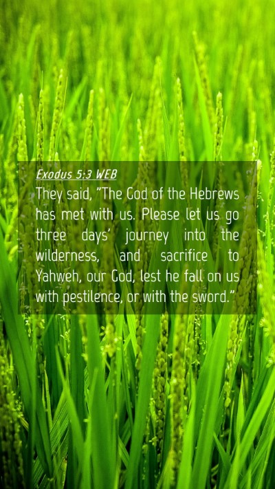 Picture 04 - Exodus 5:3 WEB Mobile Phone Wallpaper - They said, 