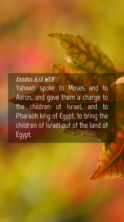 Picture 04 - Exodus 6:13 WEB Mobile Phone Wallpaper - Yahweh spoke to Moses and to Aaron, and gave them - Mobile Bible Verse Wallpaper