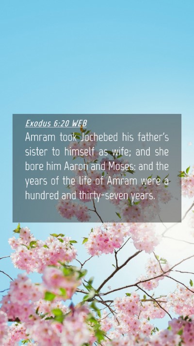 Picture 04 - Exodus 6:20 WEB Mobile Phone Wallpaper - Amram took Jochebed his father's sister to - Mobile Bible Verse Wallpaper