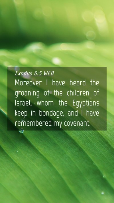 Picture 04 - Exodus 6:5 WEB Mobile Phone Wallpaper - Moreover I have heard the groaning of the - Mobile Bible Verse Wallpaper