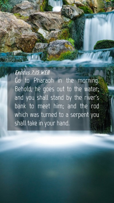 Picture 04 - Exodus 7:15 WEB Mobile Phone Wallpaper - Go to Pharaoh in the morning. Behold, he goes out - Mobile Bible Verse Wallpaper