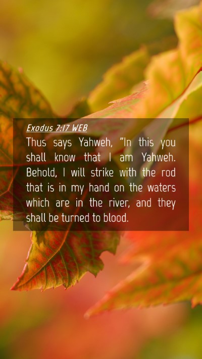 Picture 04 - Exodus 7:17 WEB Mobile Phone Wallpaper - Thus says Yahweh, 