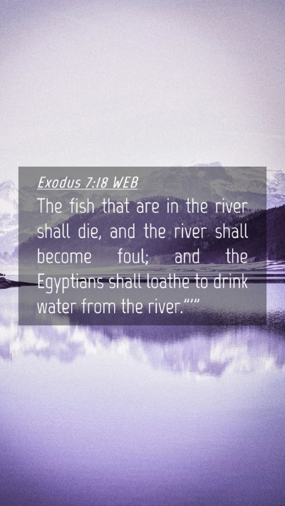 Picture 04 - Exodus 7:18 WEB Mobile Phone Wallpaper - The fish that are in the river shall die, and the - Mobile Bible Verse Wallpaper