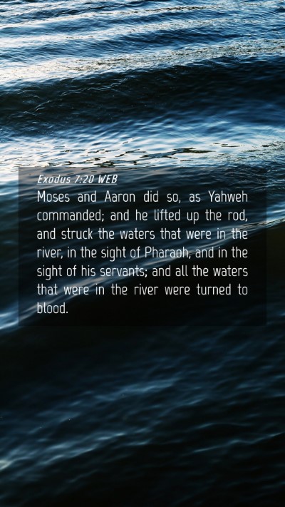 Picture 04 - Exodus 7:20 WEB Mobile Phone Wallpaper - Moses and Aaron did so, as Yahweh commanded; and - Mobile Bible Verse Wallpaper