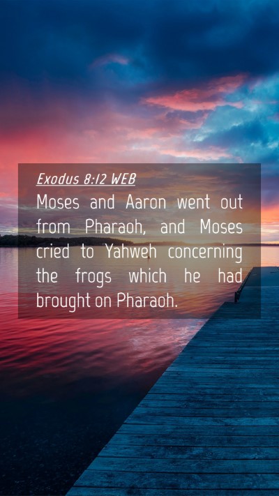 Picture 04 - Exodus 8:12 WEB Mobile Phone Wallpaper - Moses and Aaron went out from Pharaoh, and Moses - Mobile Bible Verse Wallpaper