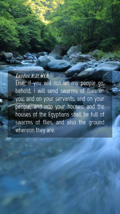 Picture 04 - Exodus 8:21 WEB Mobile Phone Wallpaper - Else, if you will not let my people go, behold, I - Mobile Bible Verse Wallpaper