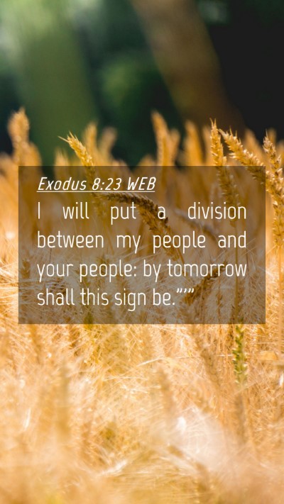 Picture 04 - Exodus 8:23 WEB Mobile Phone Wallpaper - I will put a division between my people and your - Mobile Bible Verse Wallpaper
