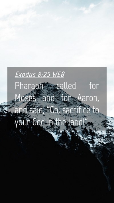 Picture 04 - Exodus 8:25 WEB Mobile Phone Wallpaper - Pharaoh called for Moses and for Aaron, and said, - Mobile Bible Verse Wallpaper