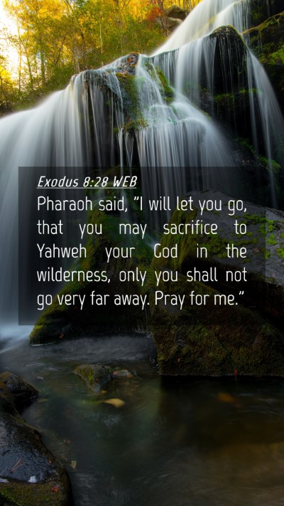 Picture 04 - Exodus 8:28 WEB Mobile Phone Wallpaper - Pharaoh said, 