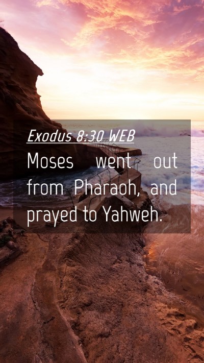Picture 04 - Exodus 8:30 WEB Mobile Phone Wallpaper - Moses went out from Pharaoh, and prayed to - Mobile Bible Verse Wallpaper