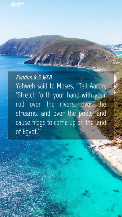 Picture 04 - Exodus 8:5 WEB Mobile Phone Wallpaper - Yahweh said to Moses, 