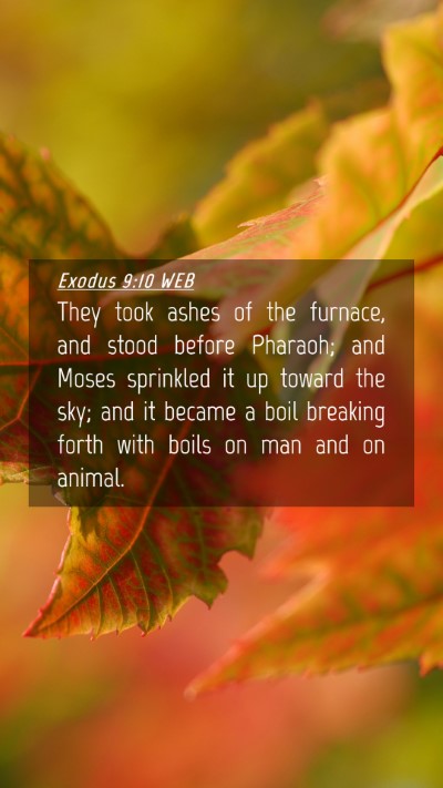 Picture 04 - Exodus 9:10 WEB Mobile Phone Wallpaper - They took ashes of the furnace, and stood before - Mobile Bible Verse Wallpaper