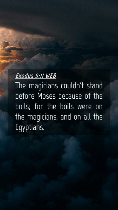 Picture 04 - Exodus 9:11 WEB Mobile Phone Wallpaper - The magicians couldn't stand before Moses because - Mobile Bible Verse Wallpaper