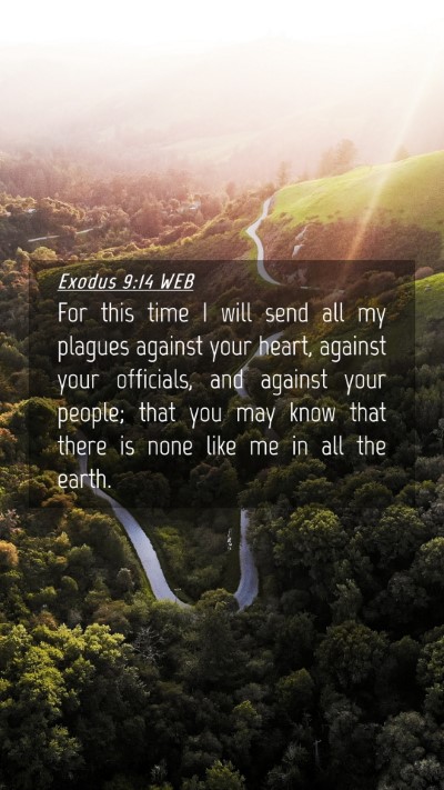 Picture 04 - Exodus 9:14 WEB Mobile Phone Wallpaper - For this time I will send all my plagues against - Mobile Bible Verse Wallpaper