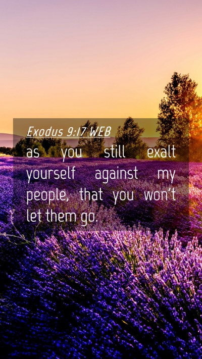 Picture 04 - Exodus 9:17 WEB Mobile Phone Wallpaper - as you still exalt yourself against my people, - Mobile Bible Verse Wallpaper