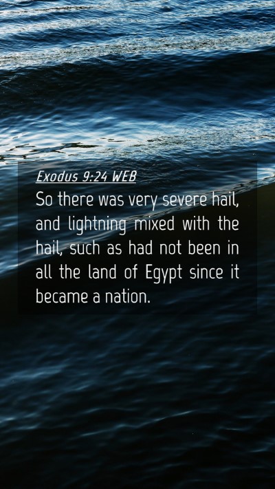 Picture 04 - Exodus 9:24 WEB Mobile Phone Wallpaper - So there was very severe hail, and lightning - Mobile Bible Verse Wallpaper
