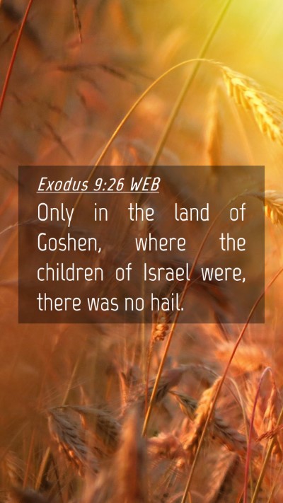 Picture 04 - Exodus 9:26 WEB Mobile Phone Wallpaper - Only in the land of Goshen, where the children of - Mobile Bible Verse Wallpaper