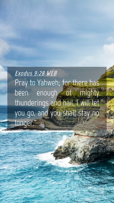 Picture 04 - Exodus 9:28 WEB Mobile Phone Wallpaper - Pray to Yahweh; for there has been enough of - Mobile Bible Verse Wallpaper