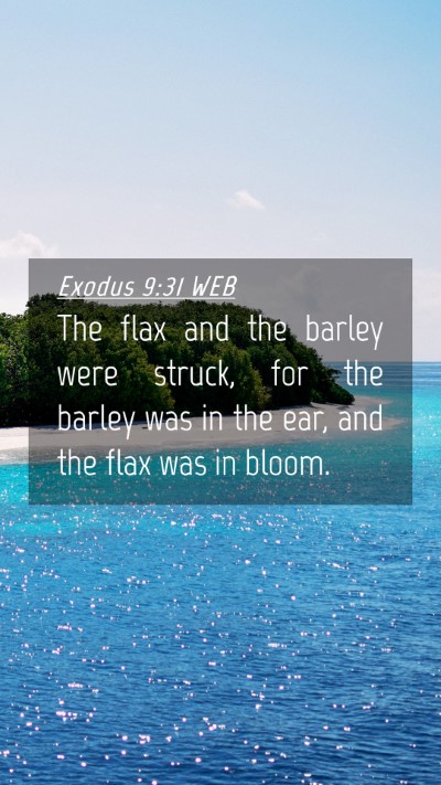 Picture 04 - Exodus 9:31 WEB Mobile Phone Wallpaper - The flax and the barley were struck, for the - Mobile Bible Verse Wallpaper