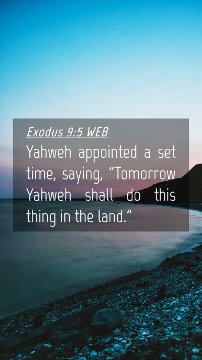 Picture 04 - Exodus 9:5 WEB Mobile Phone Wallpaper - Yahweh appointed a set time, saying, 