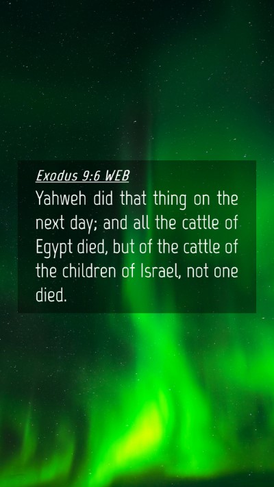 Picture 04 - Exodus 9:6 WEB Mobile Phone Wallpaper - Yahweh did that thing on the next day; and all - Mobile Bible Verse Wallpaper
