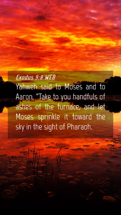 Picture 04 - Exodus 9:8 WEB Mobile Phone Wallpaper - Yahweh said to Moses and to Aaron, 