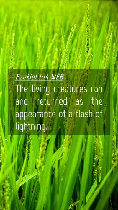 Picture 04 - Ezekiel 1:14 WEB Mobile Phone Wallpaper - The living creatures ran and returned as the - Mobile Bible Verse Wallpaper