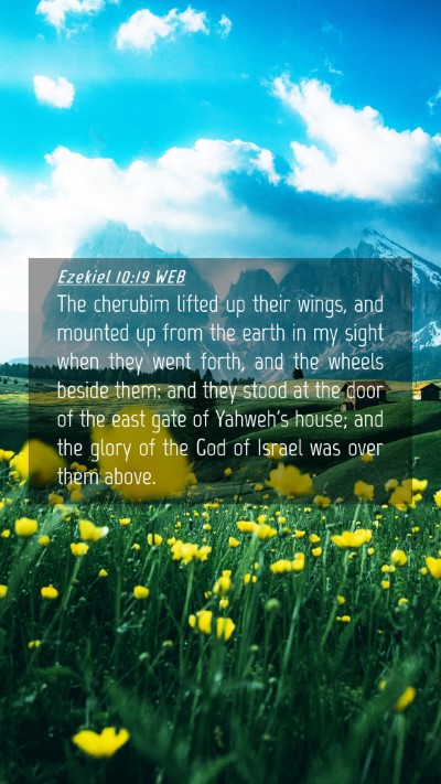 Picture 04 - Ezekiel 10:19 WEB Mobile Phone Wallpaper - The cherubim lifted up their wings, and mounted - Mobile Bible Verse Wallpaper