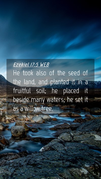 Picture 04 - Ezekiel 17:5 WEB Mobile Phone Wallpaper - He took also of the seed of the land, and planted - Mobile Bible Verse Wallpaper