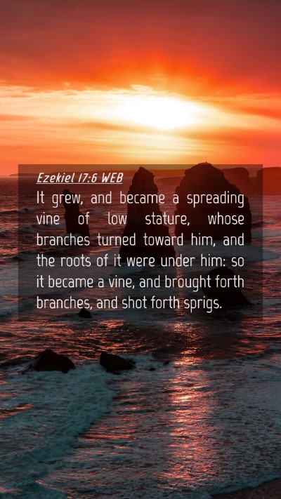 Picture 04 - Ezekiel 17:6 WEB Mobile Phone Wallpaper - It grew, and became a spreading vine of low - Mobile Bible Verse Wallpaper