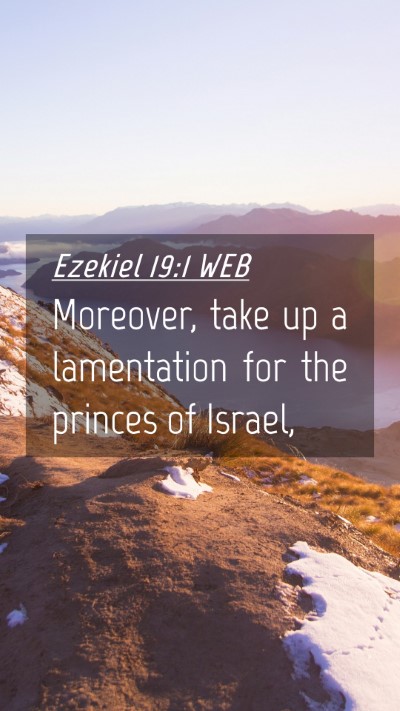 Picture 04 - Ezekiel 19:1 WEB Mobile Phone Wallpaper - Moreover, take up a lamentation for the princes - Mobile Bible Verse Wallpaper
