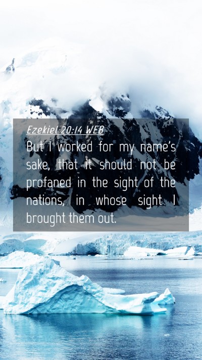 Picture 04 - Ezekiel 20:14 WEB Mobile Phone Wallpaper - But I worked for my name's sake, that it should - Mobile Bible Verse Wallpaper