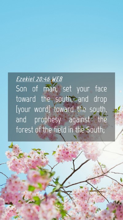 Picture 04 - Ezekiel 20:46 WEB Mobile Phone Wallpaper - Son of man, set your face toward the south, and - Mobile Bible Verse Wallpaper