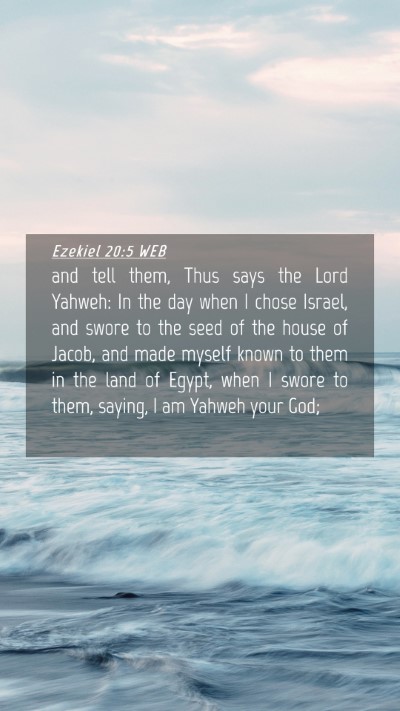 Picture 04 - Ezekiel 20:5 WEB Mobile Phone Wallpaper - and tell them, Thus says the Lord Yahweh: In the - Mobile Bible Verse Wallpaper
