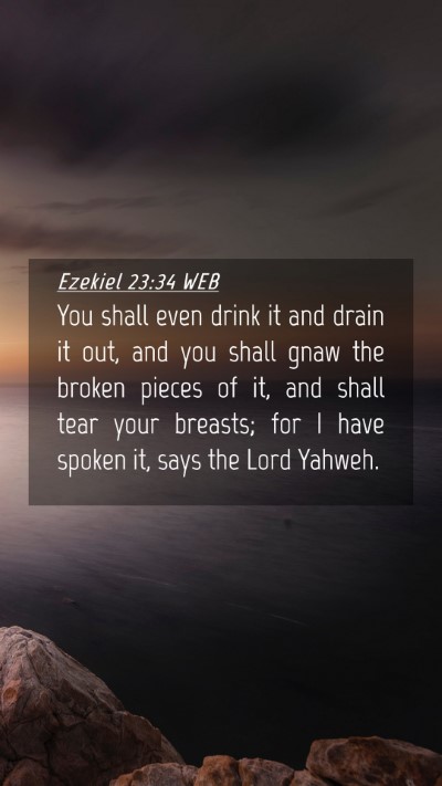 Picture 04 - Ezekiel 23:34 WEB Mobile Phone Wallpaper - You shall even drink it and drain it out, and you - Mobile Bible Verse Wallpaper