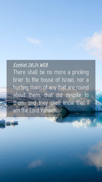 Picture 04 - Ezekiel 28:24 WEB Mobile Phone Wallpaper - There shall be no more a pricking brier to the - Mobile Bible Verse Wallpaper