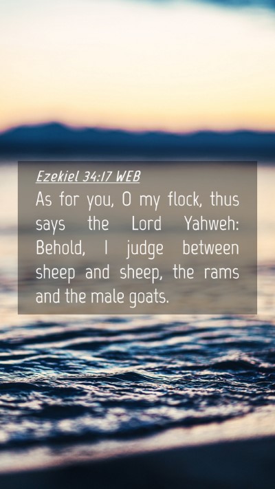 Picture 04 - Ezekiel 34:17 WEB Mobile Phone Wallpaper - As for you, O my flock, thus says the Lord - Mobile Bible Verse Wallpaper