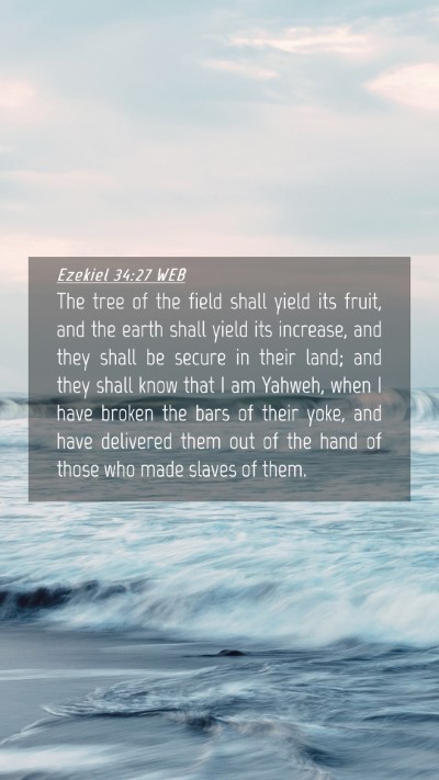 Picture 04 - Ezekiel 34:27 WEB Mobile Phone Wallpaper - The tree of the field shall yield its fruit, and - Mobile Bible Verse Wallpaper