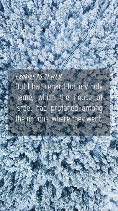 Picture 04 - Ezekiel 36:21 WEB Mobile Phone Wallpaper - But I had regard for my holy name, which the - Mobile Bible Verse Wallpaper