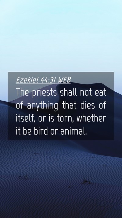 Picture 04 - Ezekiel 44:31 WEB Mobile Phone Wallpaper - The priests shall not eat of anything that dies - Mobile Bible Verse Wallpaper