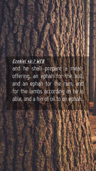 Picture 04 - Ezekiel 46:7 WEB Mobile Phone Wallpaper - and he shall prepare a meal-offering, an ephah - Mobile Bible Verse Wallpaper